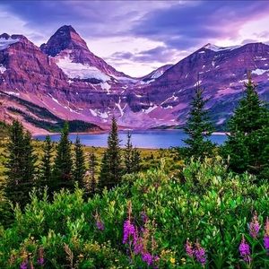 Meet your Posher, René